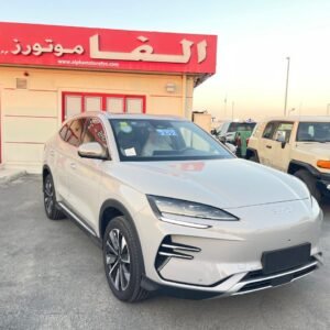 BYD Song PLUS New Energy 2025 EV flagship model